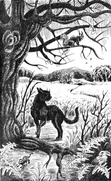 Иллюстрация к книге — Нерассказанные истории. История Остролистой [pic_6.jpg]