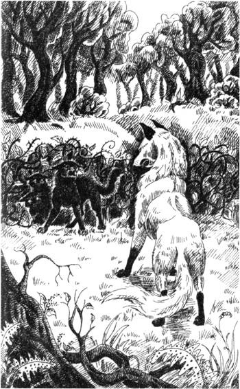 Иллюстрация к книге — Нерассказанные истории. История Остролистой [pic_8.jpg]