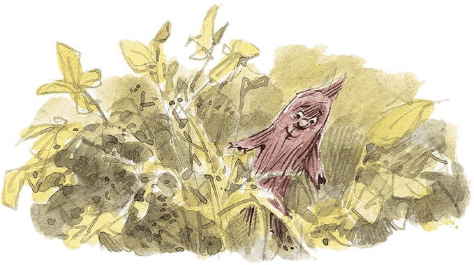 Иллюстрация к книге — Щепкин и красный велосипед [i_030.jpg]