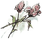 Иллюстрация к книге — Поллианна выросла [i_018.jpg]