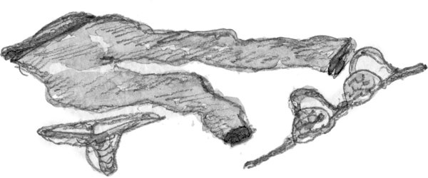 Иллюстрация к книге — Француженки не любят сказки [_10.jpg]