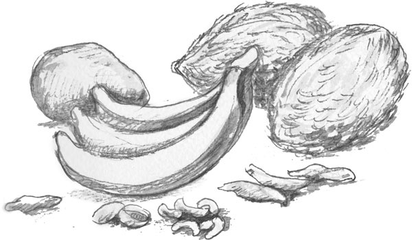 Иллюстрация к книге — Француженки не любят сказки [_29.jpg]