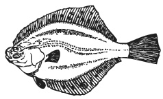 Иллюстрация к книге — Дары моря, исцеляющие организм [i_008.jpg]