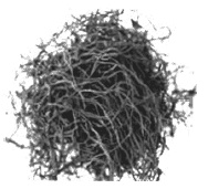 Иллюстрация к книге — Дары моря, исцеляющие организм [i_042.jpg]