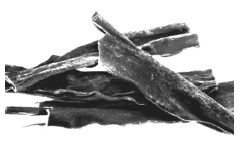 Иллюстрация к книге — Дары моря, исцеляющие организм [i_043.jpg]