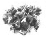 Иллюстрация к книге — Дары моря, исцеляющие организм [i_046.jpg]