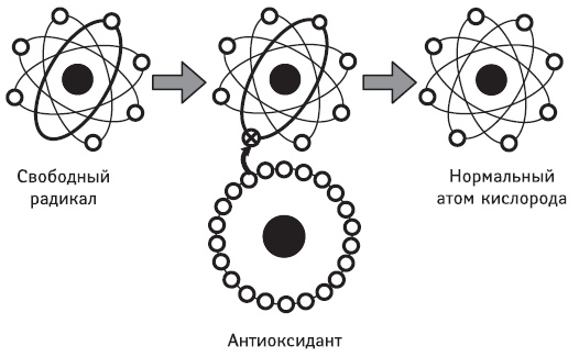 Иллюстрация к книге — Защита от кислорода-убийцы. Новые методы от 100 болезней [i_005.jpg]