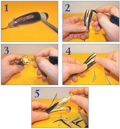 Иллюстрация к книге — Необычные украшения из обычных овощей [Autogen_eBook_id2.jpg]