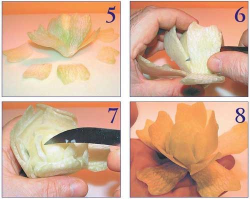 Иллюстрация к книге — Необычные украшения из обычных овощей [Autogen_eBook_id41.jpg]