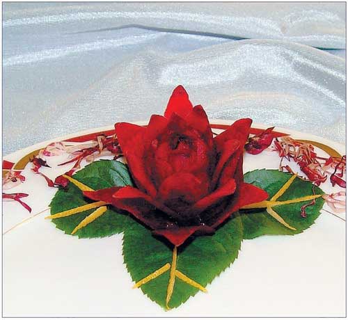 Иллюстрация к книге — Необычные украшения из обычных овощей [Autogen_eBook_id45.jpg]