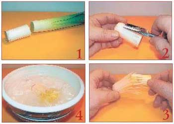 Иллюстрация к книге — Секреты украшения блюд праздничного стола [Autogen_eBook_id28.jpg]