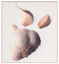 Иллюстрация к книге — Секреты украшения блюд праздничного стола [Autogen_eBook_id300.jpg]