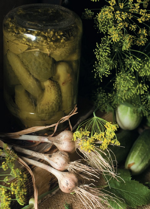 Иллюстрация к книге — Консервирование. 60 рецептов, которые вы еще не знаете [Autogen_eBook_id21.jpg]