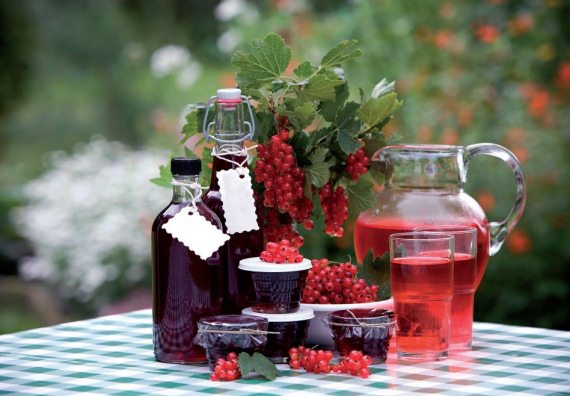 Иллюстрация к книге — Консервирование. 60 рецептов, которые вы еще не знаете [Autogen_eBook_id4.jpg]