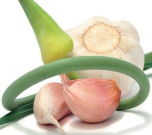 Иллюстрация к книге — Консервирование. 60 рецептов, которые вы еще не знаете [Autogen_eBook_id64.jpg]