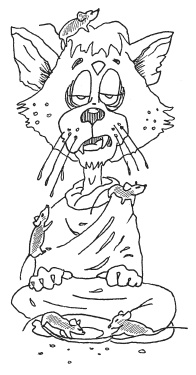 Иллюстрация к книге — Эта вкусная и полезная жизнь. Полная система питания и очищения организма [Autogen_eBook_id11.jpg]