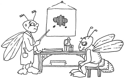 Иллюстрация к книге — Эта вкусная и полезная жизнь. Полная система питания и очищения организма [Autogen_eBook_id2.jpg]