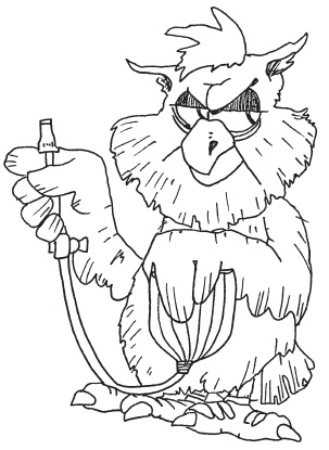 Иллюстрация к книге — Эта вкусная и полезная жизнь. Полная система питания и очищения организма [Autogen_eBook_id20.jpg]