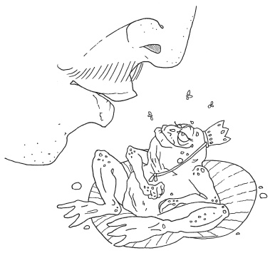 Иллюстрация к книге — Эта вкусная и полезная жизнь. Полная система питания и очищения организма [Autogen_eBook_id23.jpg]