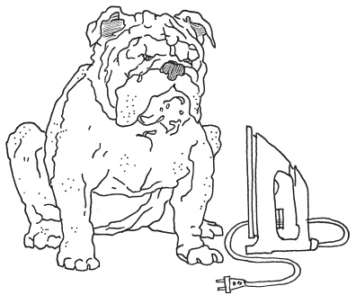 Иллюстрация к книге — Эта вкусная и полезная жизнь. Полная система питания и очищения организма [Autogen_eBook_id27.jpg]