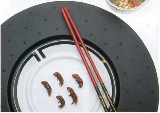 Иллюстрация к книге — Экстремальная кухня. Причудливые и удивительные блюда, которые едят люди [i_005.jpg]