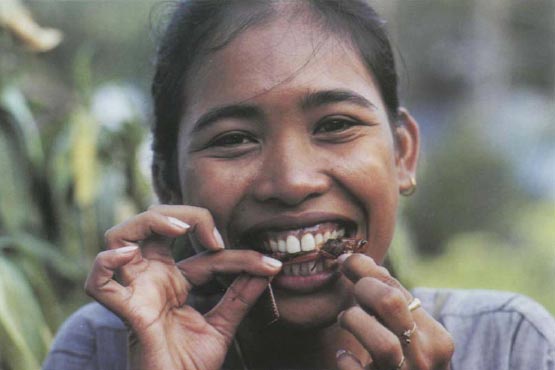 Иллюстрация к книге — Экстремальная кухня. Причудливые и удивительные блюда, которые едят люди [i_030.jpg]