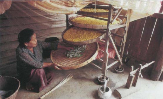 Иллюстрация к книге — Экстремальная кухня. Причудливые и удивительные блюда, которые едят люди [i_040.jpg]