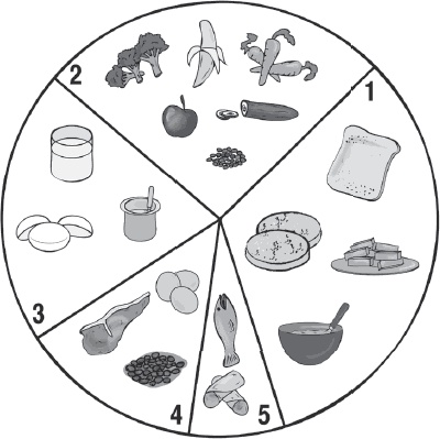 Иллюстрация к книге — Папа-спецназ. Миссия выполнима. Краткий курс молодого отца [_22.jpg]
