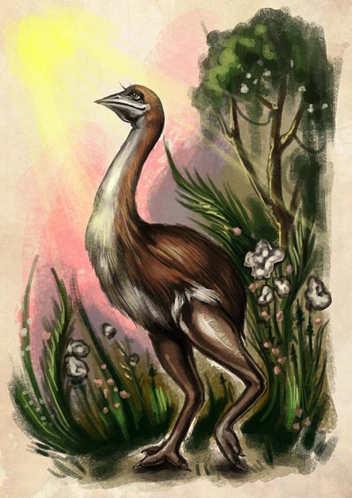 Иллюстрация к книге — Остров Дадо. Суеверная демократия [_img_18.jpg]