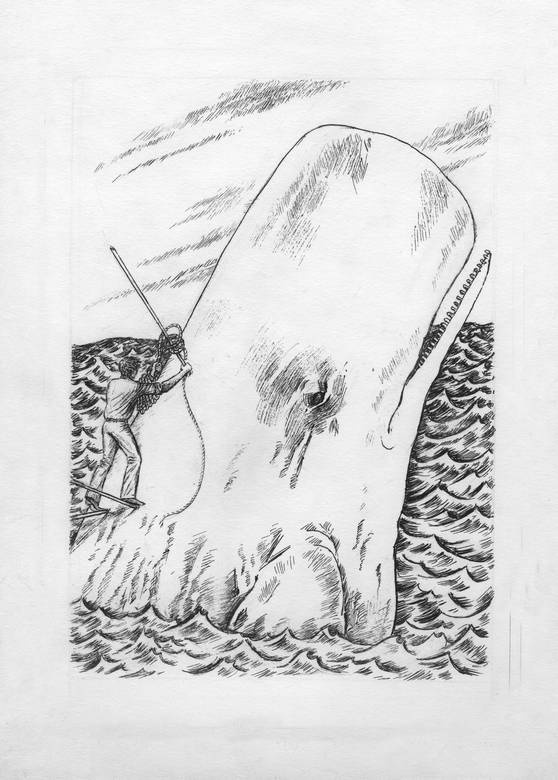 Иллюстрация к книге — Киты и люди [i_006.jpg]