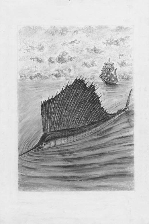 Иллюстрация к книге — Киты и люди [i_010.jpg]