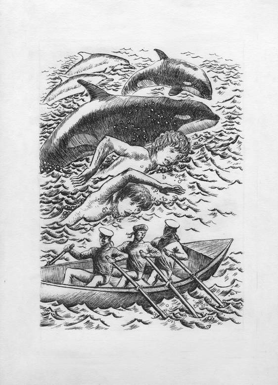 Иллюстрация к книге — Киты и люди [i_015.jpg]