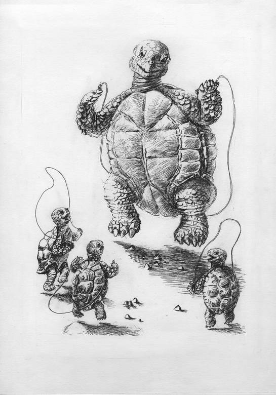 Иллюстрация к книге — Киты и люди [i_025.jpg]