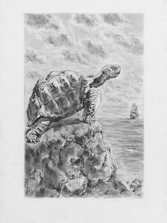 Иллюстрация к книге — Киты и люди [i_027.jpg]