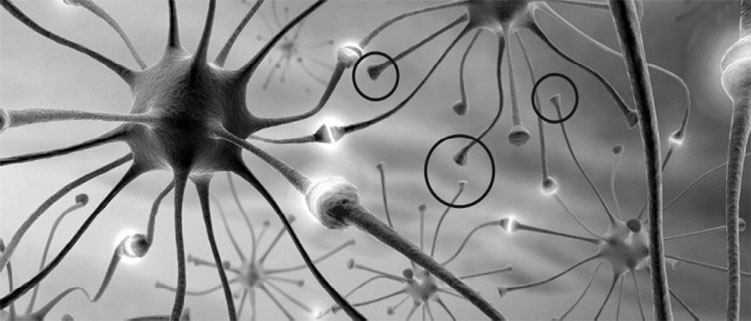 Иллюстрация к книге — 6 способов познать себя. Просветление для всех [_2.jpg]