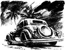 Иллюстрация к книге — Сокровища царя Камбиза [i_002.jpg]