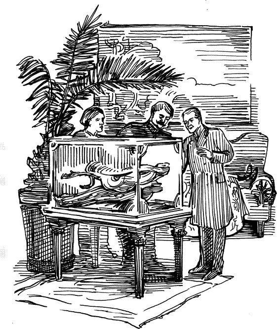 Иллюстрация к книге — Поцелуй анаконды [_249.jpg]