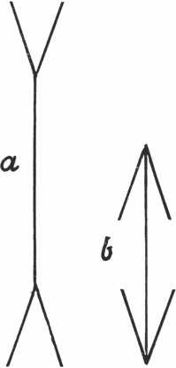 Иллюстрация к книге — Иллюстрированная история суеверий и волшебства [i_073.jpg]