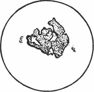 Иллюстрация к книге — Иллюстрированная история суеверий и волшебства [i_078.jpg]