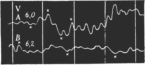 Иллюстрация к книге — Иллюстрированная история суеверий и волшебства [i_089.jpg]