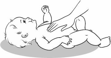 Иллюстрация к книге — Массаж и гимнастика для самых маленьких от рождения до года [i_003.jpg]