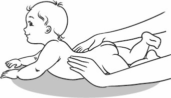 Иллюстрация к книге — Массаж и гимнастика для самых маленьких от рождения до года [i_004.jpg]