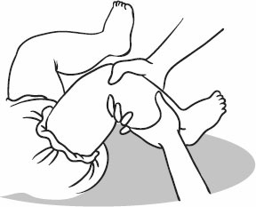 Иллюстрация к книге — Массаж и гимнастика для самых маленьких от рождения до года [i_005.jpg]