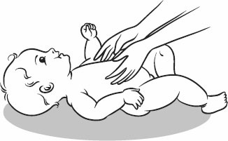 Иллюстрация к книге — Массаж и гимнастика для самых маленьких от рождения до года [i_021.jpg]