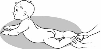 Иллюстрация к книге — Массаж и гимнастика для самых маленьких от рождения до года [i_024.jpg]