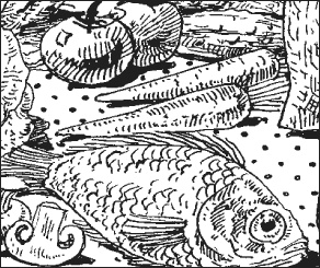 Иллюстрация к книге — Диетическое питание при болезнях желудочно-кишечного тракта [i_004.jpg]