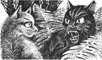 Иллюстрация к книге — Тайна Щербатой. Наказание. Книга 2 [pic_12.jpg]