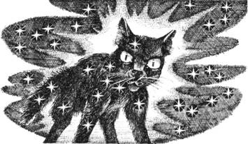 Иллюстрация к книге — Тайна Щербатой. Наказание. Книга 2 [pic_14.jpg]