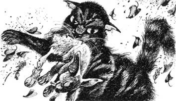 Иллюстрация к книге — Тайна Щербатой. Наказание. Книга 2 [pic_32.jpg]