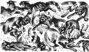 Иллюстрация к книге — Тайна Щербатой. Наказание. Книга 2 [pic_34.jpg]